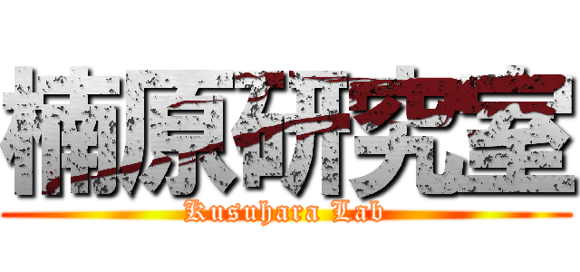 楠原研究室 (Kusuhara Lab)