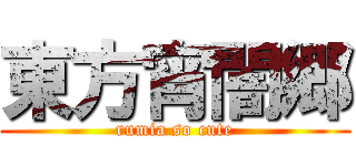 東方宵闇郷 (rumia so cute)