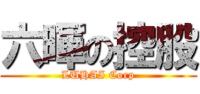 六暉の控股 (LUHAI Corp)