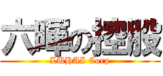 六暉の控股 (LUHAI Corp)