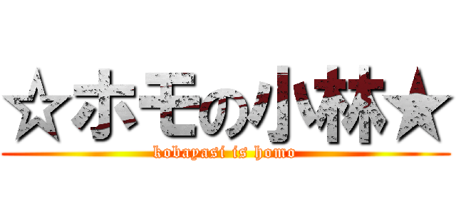 ☆ホモの小林★ (kobayasi is homo)