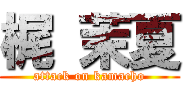 梶 茉夏 (attack on kamacho)