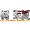 梶 茉夏 (attack on kamacho)