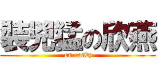 裝兇猛の欣燕 ( on candy)