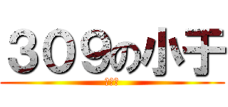 ３０９の小于 (３０９)