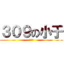 ３０９の小于 (３０９)