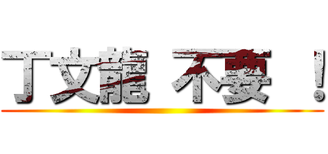 丁文龍 不要 ！ ()