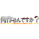 何作るんですか？ (What's cocking?)