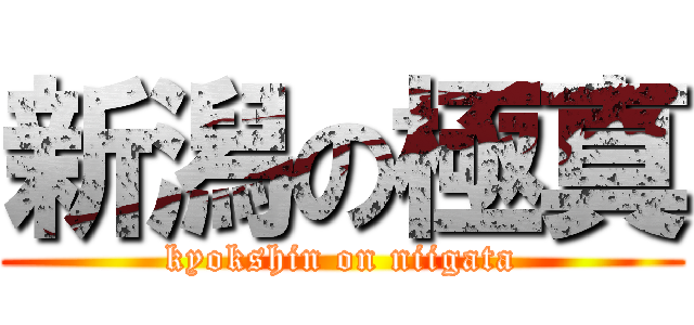 新潟の極真 (kyokshin on niigata)