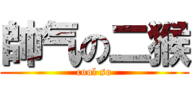 帥气の二猴 (cool so)