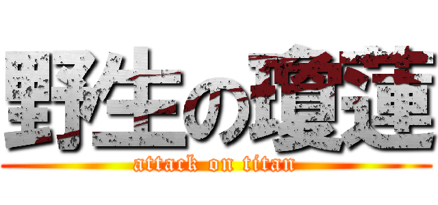 野生の瓊蓮 (attack on titan)