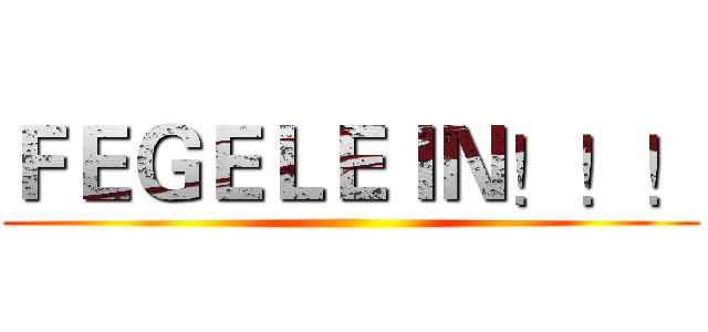 ＦＥＧＥＬＥＩＮ！！！ ()