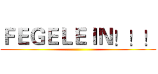 ＦＥＧＥＬＥＩＮ！！！ ()