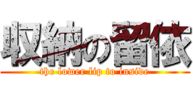 収納の留依 (the lower lip to inside)