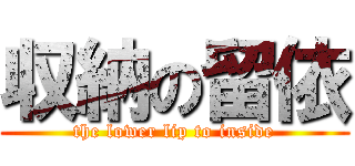 収納の留依 (the lower lip to inside)