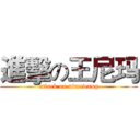 進擊の王尼玛 (attack on nimawang)