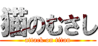 猫のむさし (attack on titan)