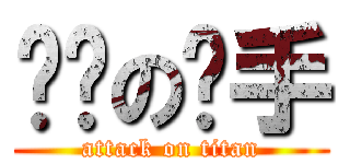 银龙の杀手 (attack on titan)