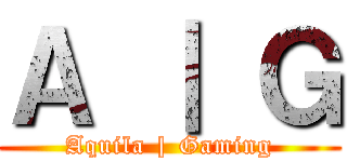 Ａ ｜ Ｇ (Aquila | Gaming)