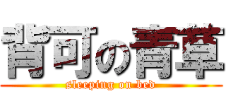 背可の青草 (sleeping on bed)