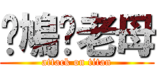 屌鳩你老母 (attack on titan)