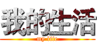 我的生活 (my life)