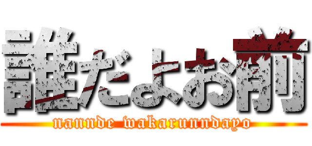 誰だよお前 (nannde wakarunndayo)