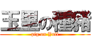 玉里の種豬 (pig on Yuli)