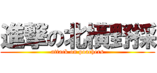 進撃の北橫野採 (attack on poachers)