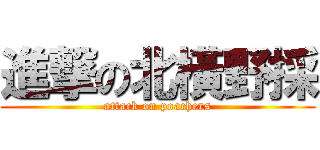 進撃の北橫野採 (attack on poachers)