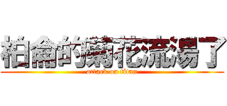 柏侖的菊花流湯了 (attack on titan)