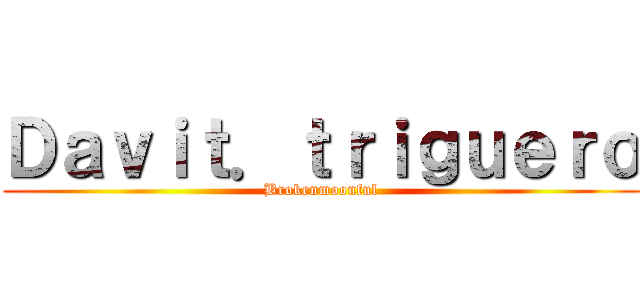 Ｄａｖｉｔ．ｔｒｉｇｕｅｒｏ (Brokenmoonful)