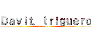 Ｄａｖｉｔ．ｔｒｉｇｕｅｒｏ (Brokenmoonful)