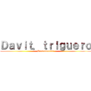 Ｄａｖｉｔ．ｔｒｉｇｕｅｒｏ (Brokenmoonful)