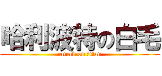 哈利波特の白毛 (attack on titan)