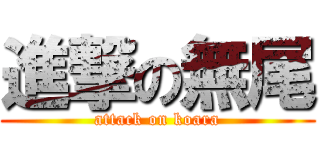進撃の無尾 (attack on koara)