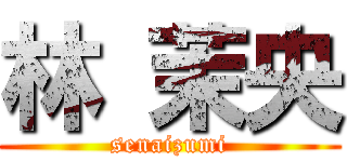 林 茉央 (senaizumi)