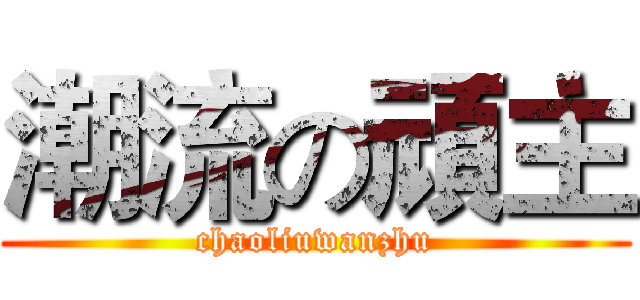 潮流の頑主 (chaoliuwanzhu)