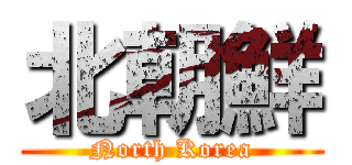 北朝鮮 (North Korea)