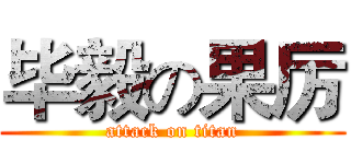 毕毅の果厉 (attack on titan)