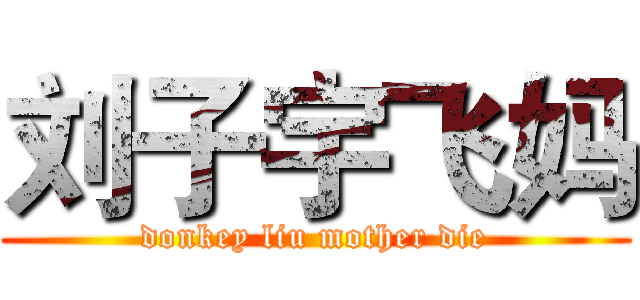 刘子宇飞妈 (donkey liu mother die)