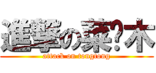進撃の菜鸡木 (attack on tongtong)