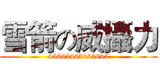 雪箭の威攝力 (45665465465645)