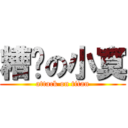 糟糕の小寞 (attack on titan)