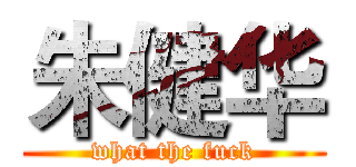朱健华 (what the fuck)