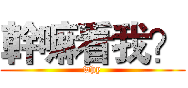 幹嘛看我？ (why)