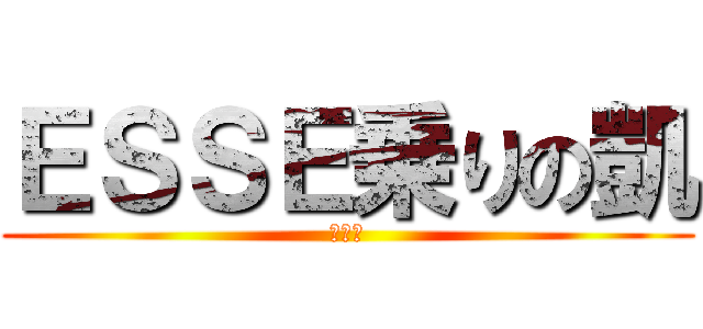 ＥＳＳＥ乗りの凱 (ビング)