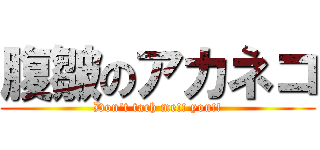 腹皺のアカネコ (Don\'t tach me!! you!!)