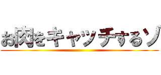 お肉をキャッチするゾ ()