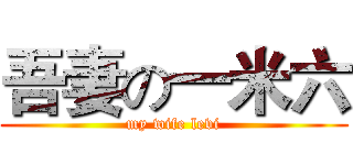 吾妻の一米六 (my wife levi)
